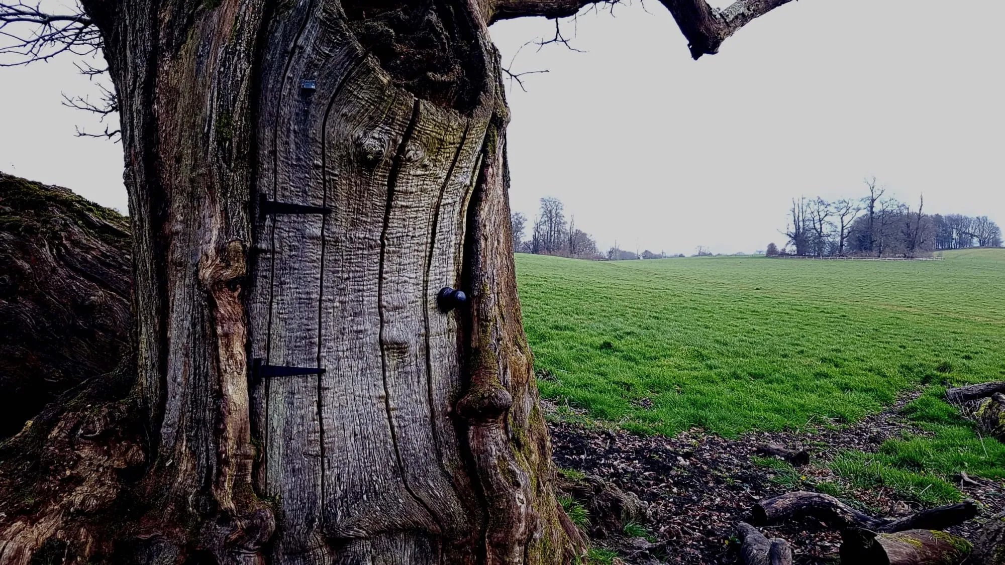 A large fairy door, in an open field
