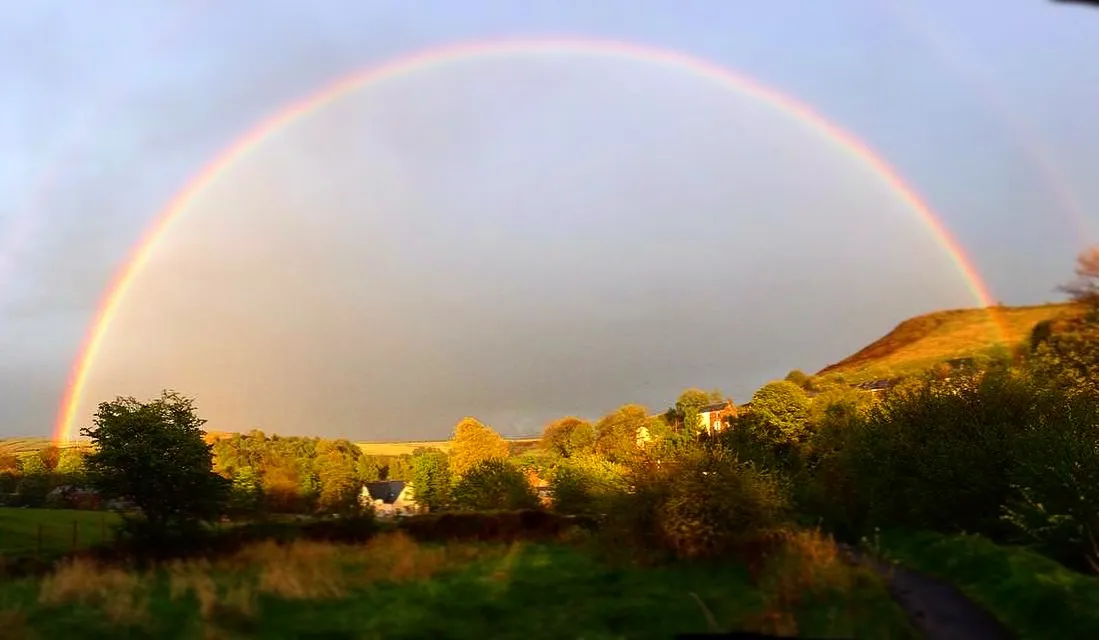 A full rainbow over some houses and trees