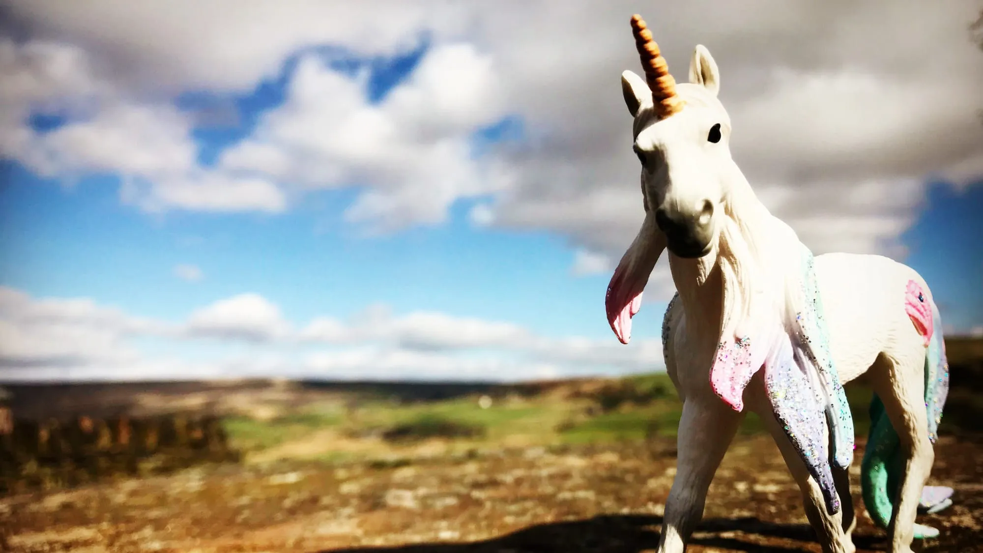 Unicorn in the mountains looking at the camera