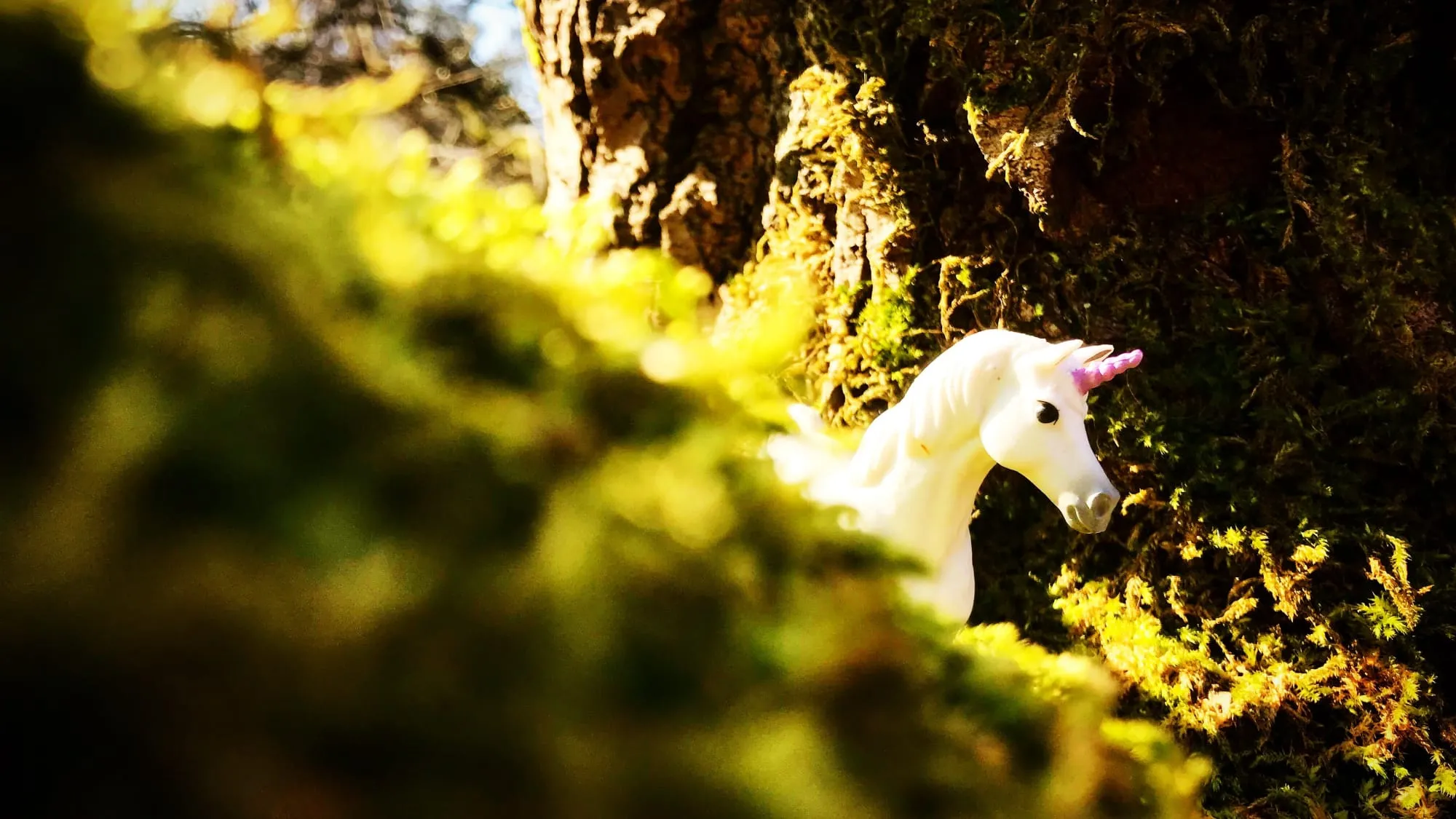 Unicorn peeking out from the moss, in the nook of a tree