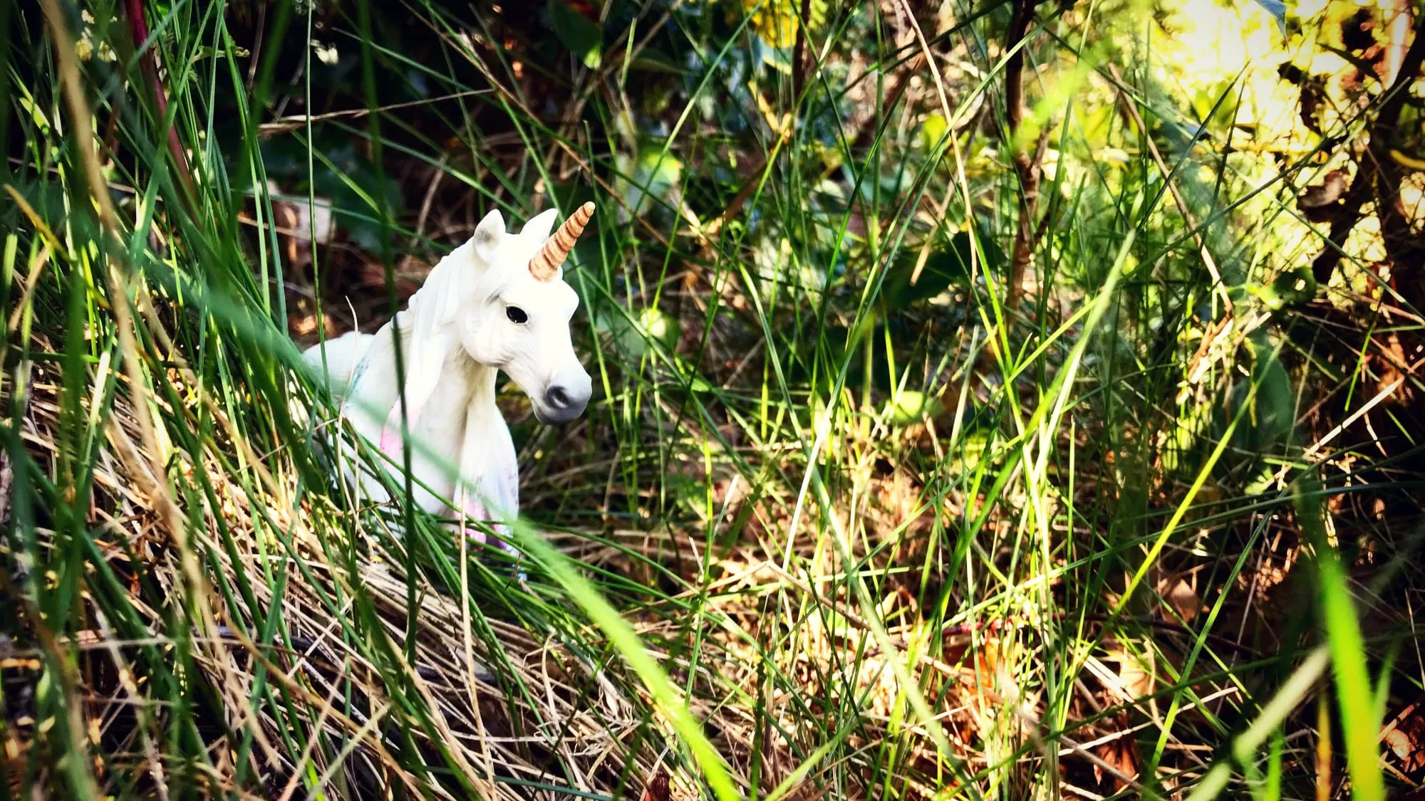 Unicorn hiding in the undergrowth, among the tall grasses