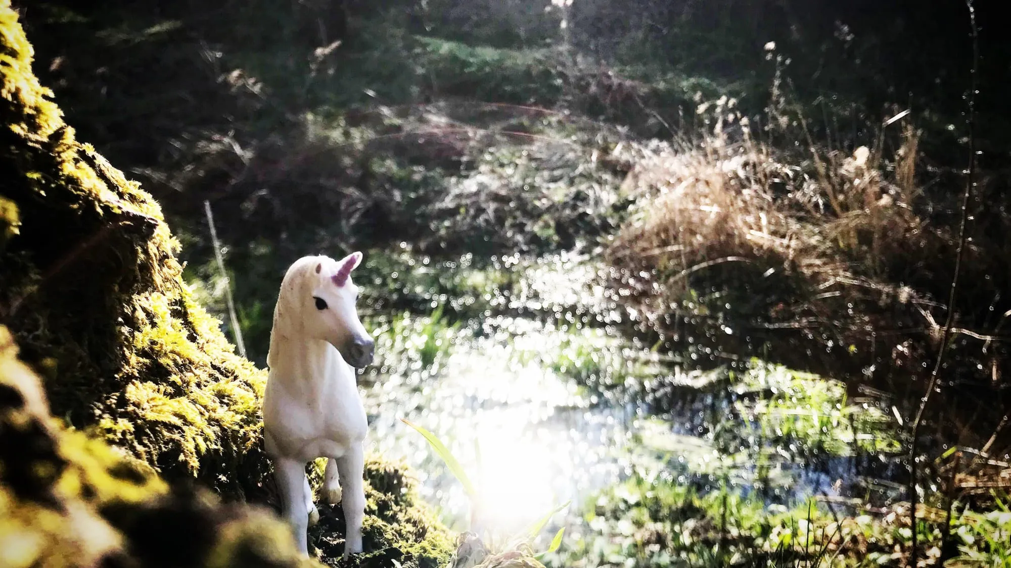 Unicorn standing by the bank of a pond